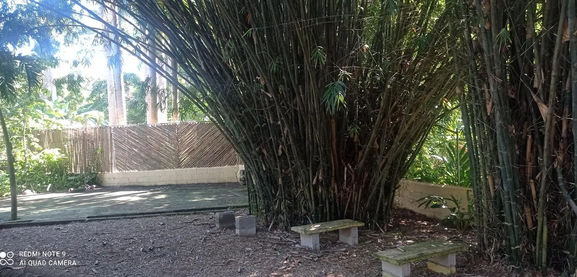 Homestay Los Palmares Guest House & Eventos San Cristobal Dominican Republic