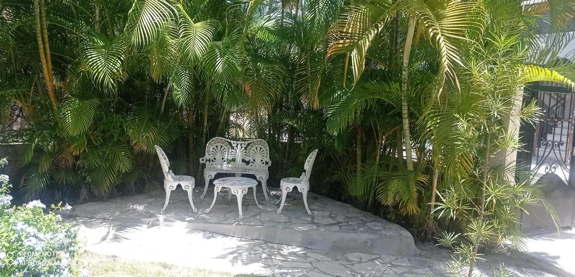 Homestay Los Palmares Guest House & Eventos San Cristobal