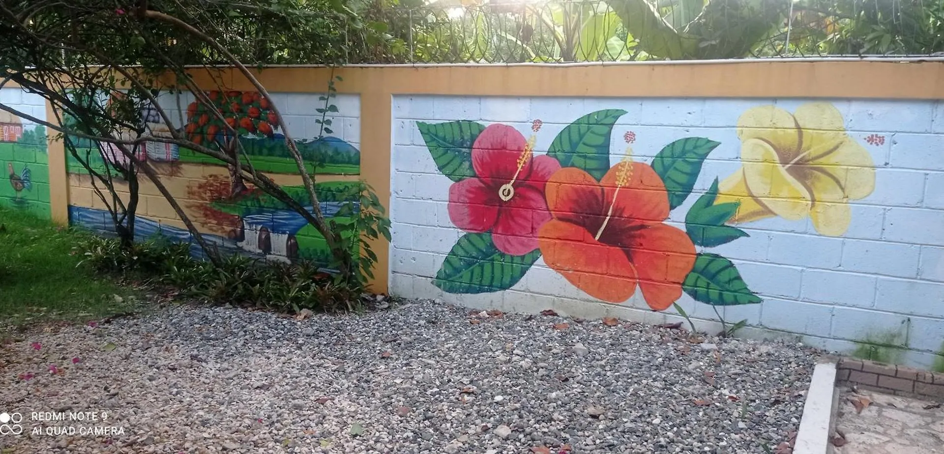Los Palmares Guest House & Eventos San Cristobal Homestay