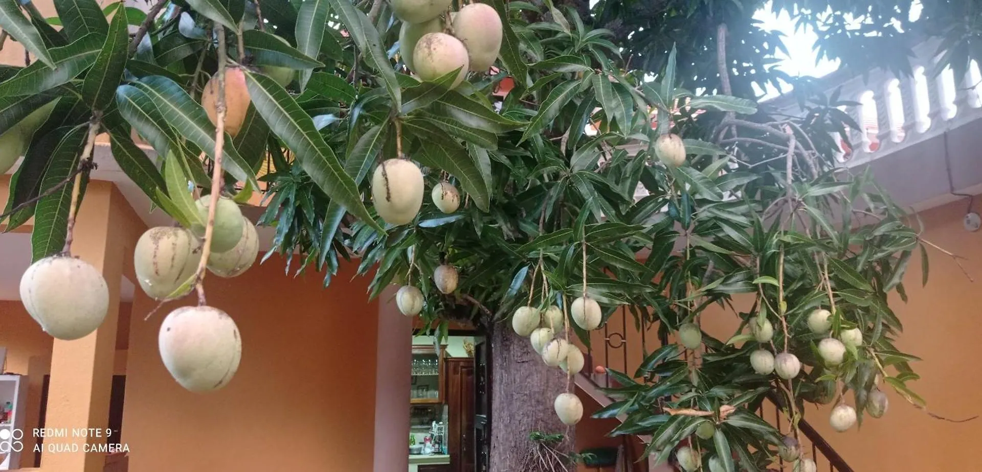 Homestay Los Palmares Guest House & Eventos San Cristobal