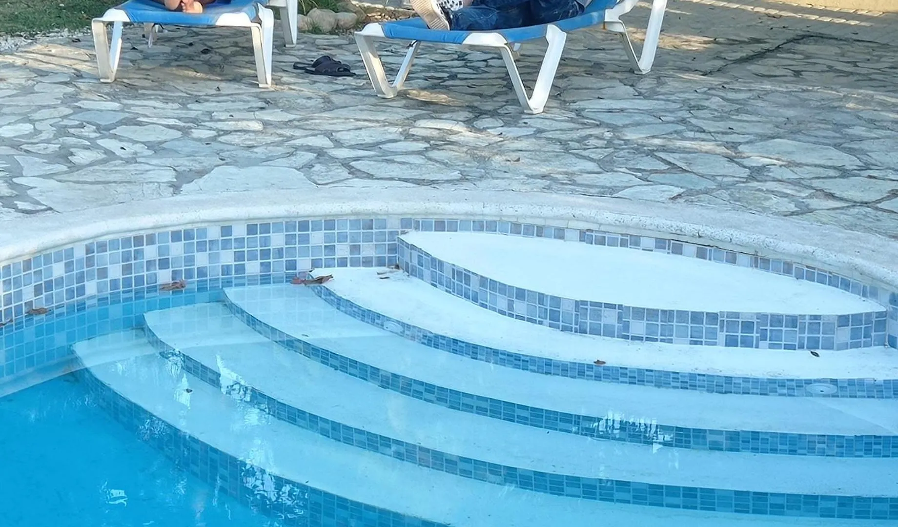 Homestay Los Palmares Guest House & Eventos San Cristobal