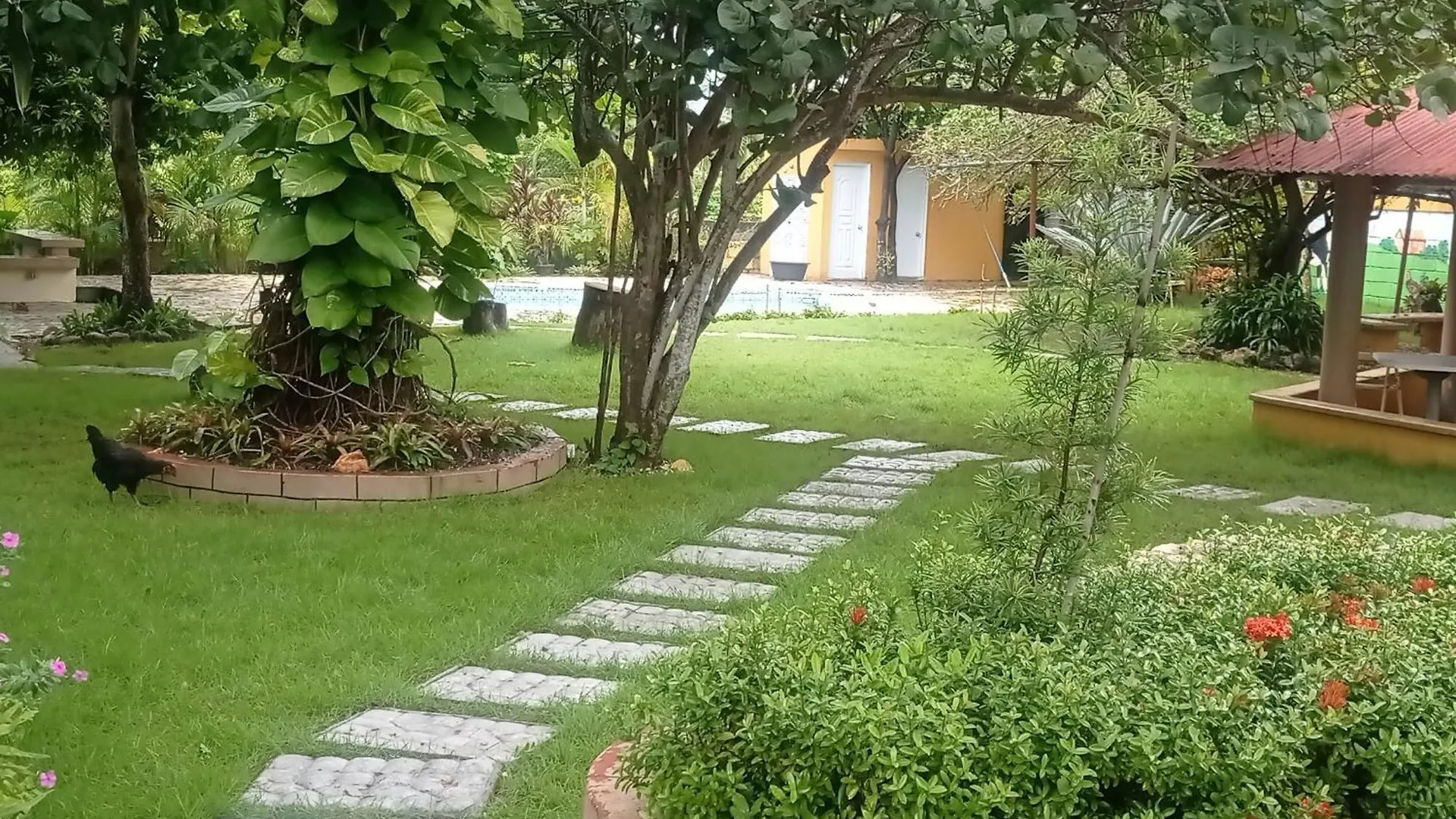 Homestay Los Palmares Guest House & Eventos San Cristobal Dominican Republic