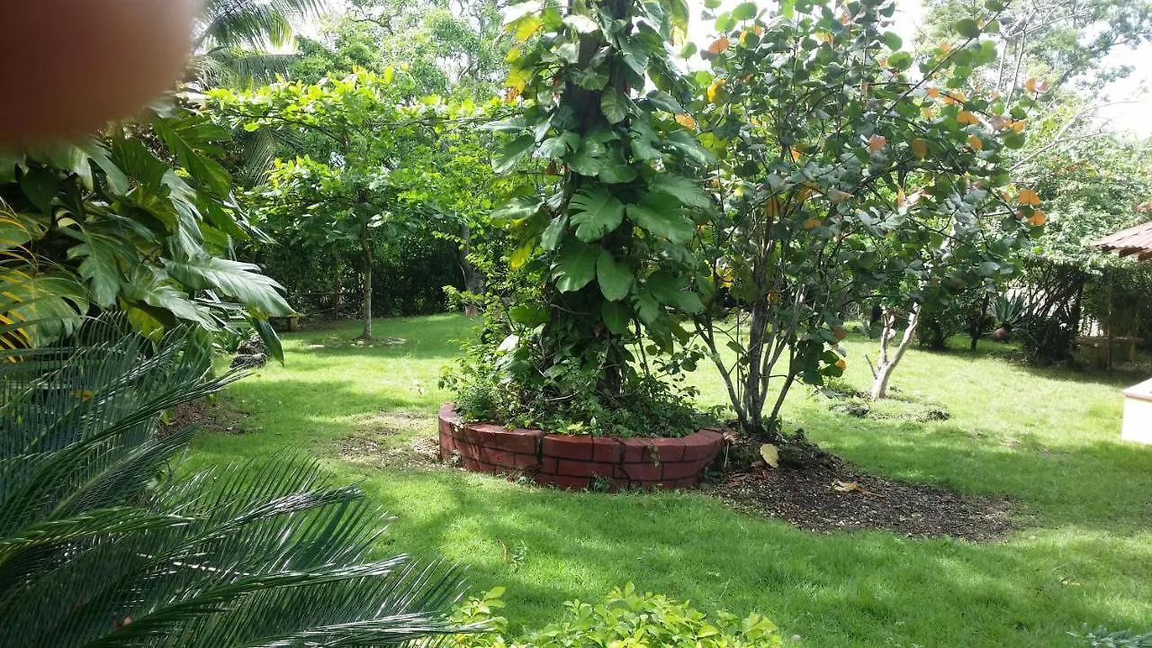 Los Palmares Guest House & Eventos San Cristobal 0*,  Dominican Republic