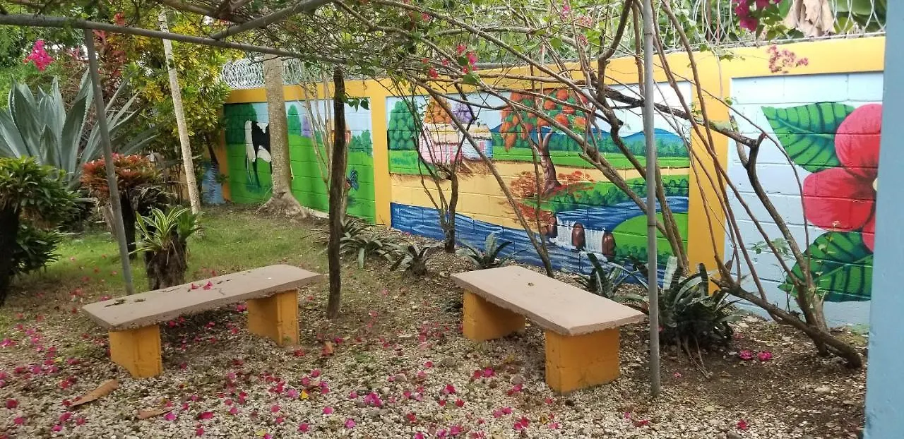 Homestay Los Palmares Guest House & Eventos San Cristobal