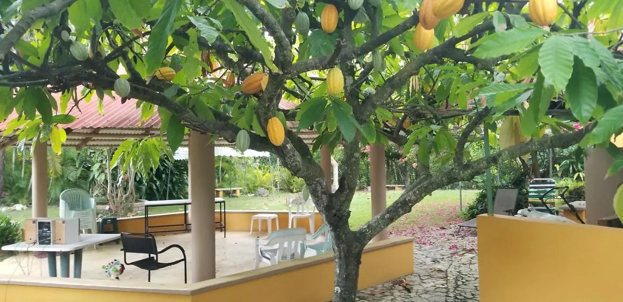 Los Palmares Guest House & Eventos San Cristobal Homestay